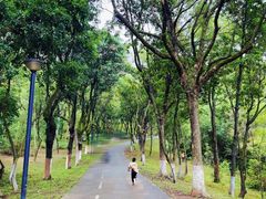 -燕晗山郊野公园