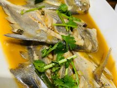 -木柴豆腐·活海鲜·鲁菜(岚山路店)