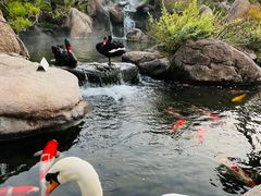 -罗红摄影艺术馆