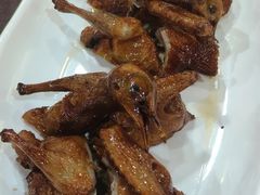 -东鸽皇(奥园·中环广场店)