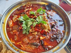 成都69度非遗毛血旺-樽宴酒楼·地道川菜·品质聚会·生日宴请