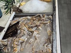 -蓝珊甄选海鲜自助·火锅大排档(近阿那亚店)