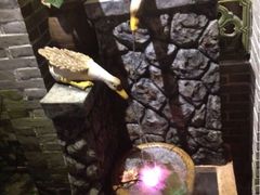 iphone_upload_pic-农厨好味·温泉鹅·农家菜