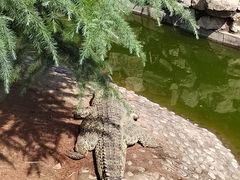 -石家庄市动物园