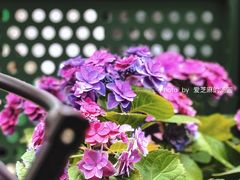 -稀物集咖啡(徽州大道店)