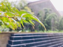 -圣玛利亚女中旧址