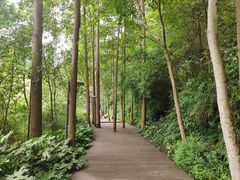 -阿哈湖国家湿地公园