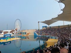 -秦皇岛乐岛海洋王国