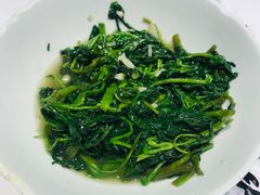 -壹盏灯(惠农店)