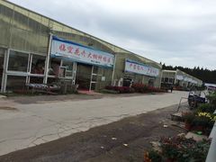 -龙大花卉苗木市场