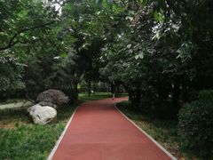 -唐城墙遗址公园