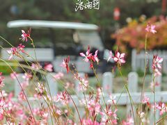 -云峰山自然风景区