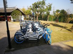 -梁鸿国家湿地公园