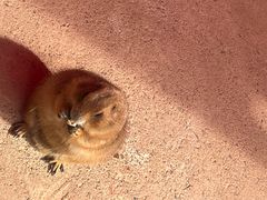 -杭州野生动物世界