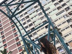 -彩虹村
