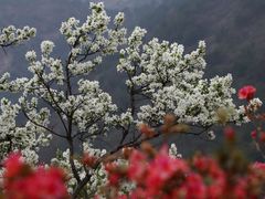 -木兰云雾山