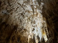 -怀托摩萤火虫洞