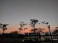 -顺峰山公园