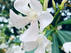 -全家便利店(中原二店)