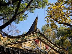 -乌山风景区