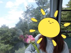 -苍山感通索道