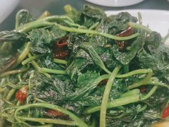 炝炒红苕尖-干老四雅鱼饭店(滨江西路店)