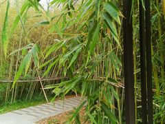 -方恒购物中心(望京小街店)