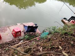 -牙山果园·烧烤野炊·钓鱼团建·烤全羊