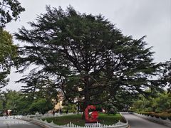-青岛德国总督楼旧址博物馆