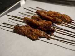招牌烤纯瘦-碎怂烤肉(钟楼柳巷店)