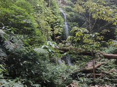 -莫里热带雨林景区