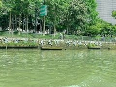 -运河游船(武林门码头)