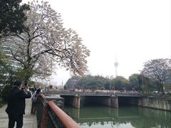 -成都市活水公园