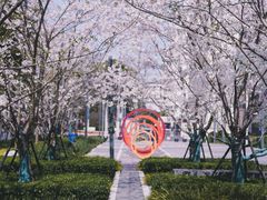 -中興路一號Oriental One