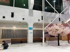-Mr·Kuma酷么先生雪之乐园