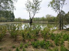 -东郊湿地公园