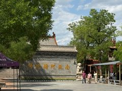 -大槐树寻根祭祖园