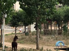 -北京鹿世界主题园