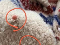 -洗衣通洗护生活馆(新疆路店)