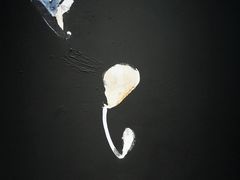 -上海油画雕塑院