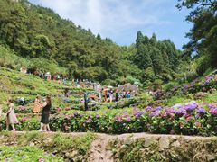 -鼓岭旅游度假区