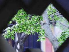 -常熟方塔园