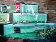 -浩运·海鲜青岛菜·海胆水饺(石老人店)