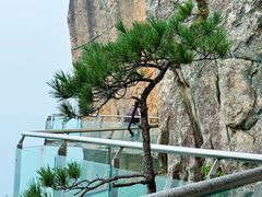 -罗田天堂寨风景区