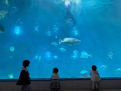 -福州罗源湾海洋世界旅游区