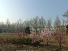 -瀛海足球主题公园