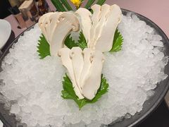 白松露-新荣记(南京西路店)