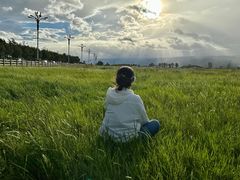 -敕勒川草原