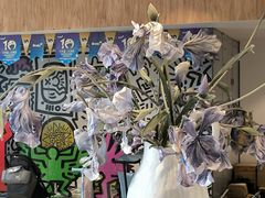 -IBOBI早教·托班·国际家庭互动成长中心(欢乐海岸中心)