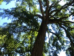 -天津盘山风景名胜区